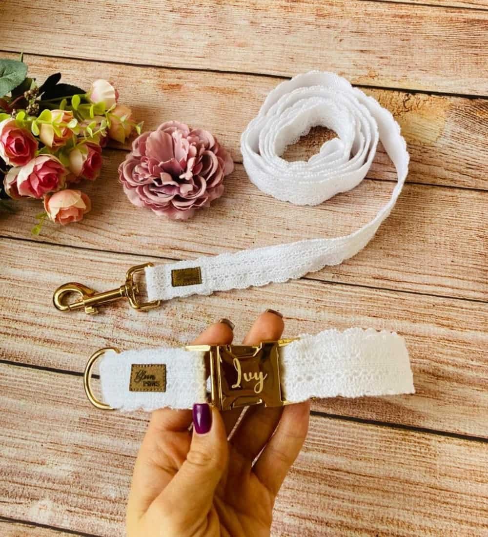 Dog wedding hotsell collar and leash